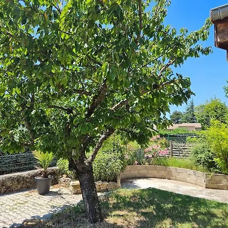 Lavande - Drome Provencale